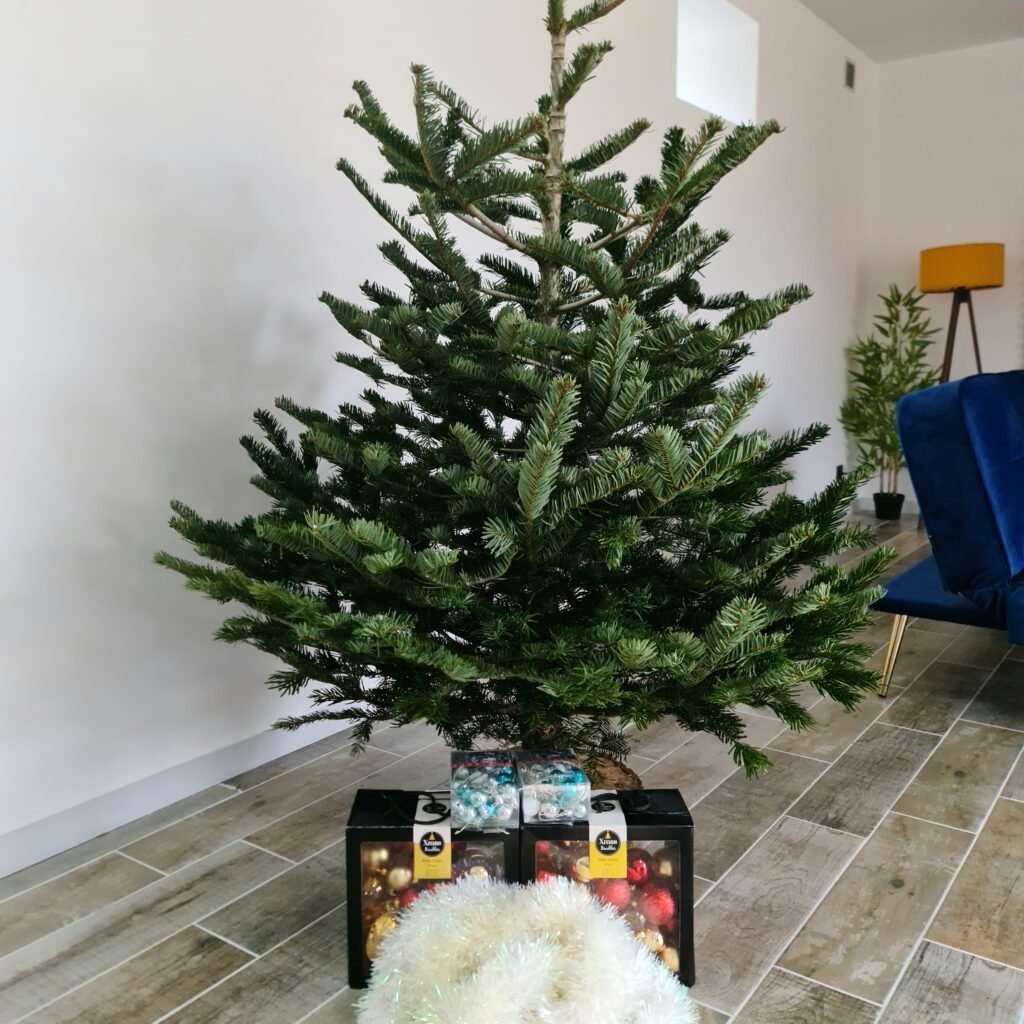 noël le clos d'ici